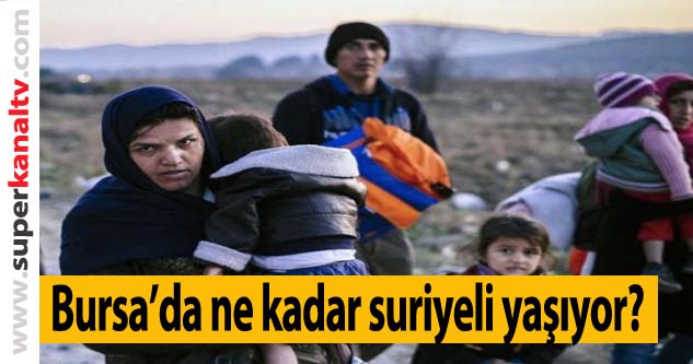 Türkiyedeki Suriyeli Sayısı Ekim 2021