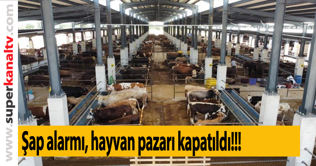 İnegöl'de 'şap hastalığı' alarmı: Canlı hayvan pazarları kapatıldı