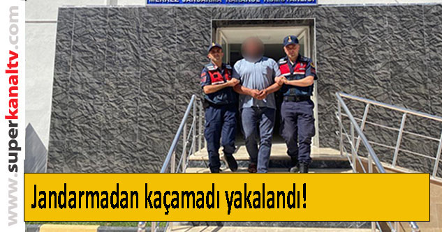 Bursa'da ceviz dolandırıcısı yakalandı