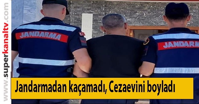 Bursa'da Jandarma'dan oto hırsızı operasyonu